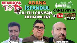 08.09.2024 Pazar İstanbul ve İzmir At Yarışları Altılı Ganyan Tahminleri