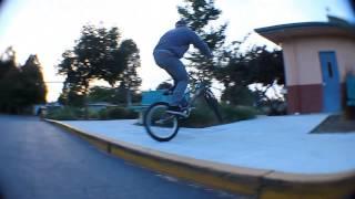 Cory Morrison- Section C