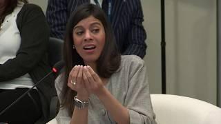 Paola Santana - The Impact of Drones