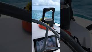 My Unforgettable First Time Steering a Catamaran #shortvideo #shortsvideo #shorts #short #catamaran