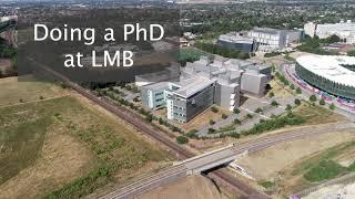 Doing a PhD at the LMB