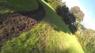 TREE RIPPING