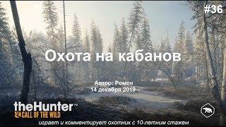 Охота на кабанов в The Hunter Call of the Wild (Medved Taiga)