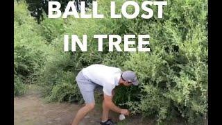 Taking a Lateral Relief Unplayable Ball Drop for my Ball in a Tree - Golf Rules Explained