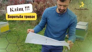 ОБРОБКА водним розчином біпіну | КЛІЩА  в сім'ях БАГАТО