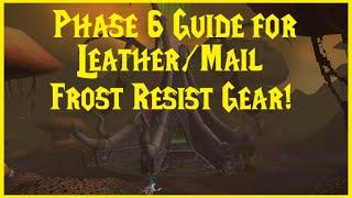 Classic WoW: Phase 6 Guide for Leather/Mail Frost Resist Gear!