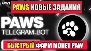 PAWS НОВЫЕ ЗАДАНИЯ НА 70К МОНЕТ! КАК ВЫПОЛНИТЬ ? ! БЫСТРЫЙ ФАРМ МОНЕТ PAWS!