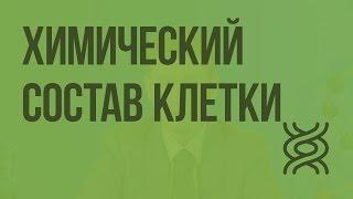 Химический состав клетки. Видеоурок по биологии 9 класс