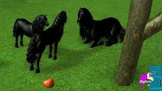 Friesian - Lets Play Roblox Horse Heart Online Horses Game Play Video