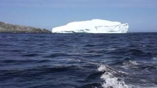 Iceberg tour on a zodiac Boat near Quirpon Island