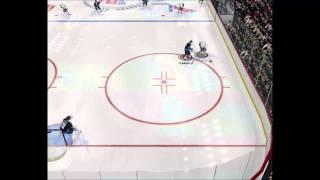 Giant Bombing of NHL 2004