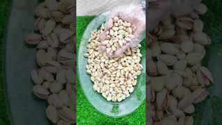 pistachio dry fruit #pistachio #pista #dryfruits #foodshorts #food #cooking #shortsfeed #shorts