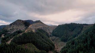 Mana Tāne wānanga