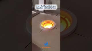 Four in one Induction Furnace for different metal