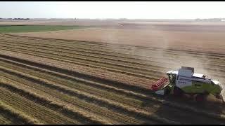 Maximize your yield with FJDynamcis autosteer during harvesting season!