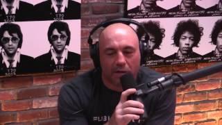 Joe Rogan & Duncan Trussell on Masturbating Dolphins - hilarious!