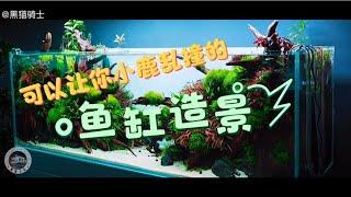 可以让你小鹿乱撞的鱼缸造景   ！那么你更喜欢哪一个呢#鱼缸造景