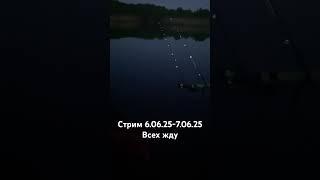 Москва река рыбалка фидер крупный лещ #fishing #video