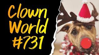 Clown World #731 Merry Doggo Christmas