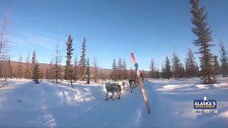 Iditarod 53: Jessie Holmes moves with front pack and a new leader emerges, as other teams scratch