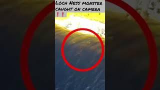 Is the Loch Ness monster real ? Nessie on camera #nessie