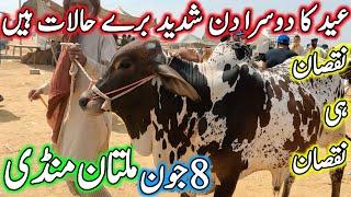 Eid Day 2 Today Multan Cow Mandi Fresh Latest Update Qurbani 2025 | Cholistani Nukre Sahiwal Bachre