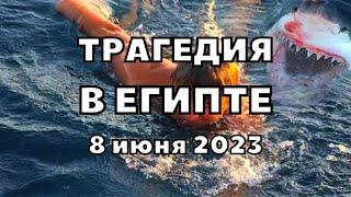 В Египте акула съела россиянина в городе Хургаде