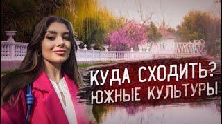 КУДА СХОДИТЬ В СОЧИ? Парк “Южные культуры”