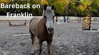 Chaotic blog | Bareback on Franklin | Spicy pony | Claire. Equus
