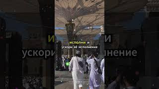 Мольба в благословенный день: лучшее время для обращения к Аллаху #МольбаВСвятойДень