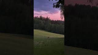 Beautiful Nature G 96 #naturalrelaxation381 #beautifulnature #nature7 #nature