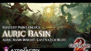 Guild Wars 2 - Auric Basin Insight: Eastwatch Bluff