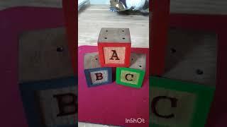 wooden toy blocks #woodworking #abc #carving