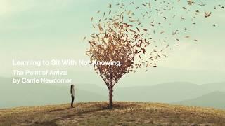 Learning To Sit With Not Knowing - By Carrie Newcomer