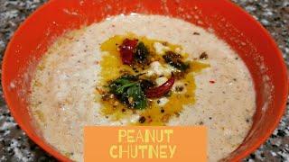 Multipurpose Peanut Chutney Recipe | MS Culinary Arts