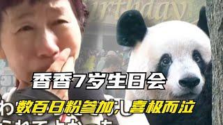 Xiangxiang's 7th birthday party, nanny interviewed by Japanese media, Japanese fans wept with joy