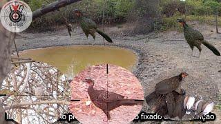 Na espera dos jacu eles vinheram P35 na ativa rendeu o frito