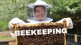 Keeping Bees