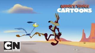 SEVİMLİ KAHRAMANLAR HİKAYELER | Gelinciklere İzin Yok | Cartoon Network Türkiye