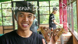BUTTERFLY PARK - Kemenuh  Bali
