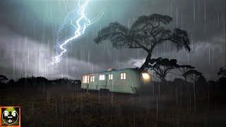 Rain and Thunder over a Camper in Africa | Loud Thunderstorm Sounds for Sleeping, Relaxing | 8 Hours