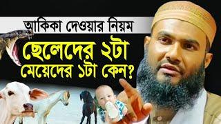 আকিকা দেওয়ার নিয়ম- ছেলেদের ২টা মেয়েদের ১টা কেন ?┇মাওলানা মমতাজুল ইসলাম┇Maulana Momtazul Islam