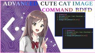 ADVANCED CUTE CAT IMAGE COMMAND | BDFD TUTORIAL | CUTE CAT IMAGE | Bot Designer