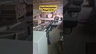 Optimizator cherestea tăiere transverală Paul Maschinenfabrik C11