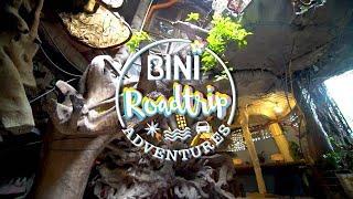 #BINI :Watch BINI's Impromptu Busking Session in Baguio! [BINI Roadtrip Adventure in Baguio Teaser ]
