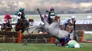 Top 5 worst jockey falls