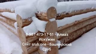 Сруб 8х12 с 5 стеной в чашу. Башкирский Сруб. Отправится в город Бирск.