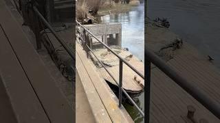 Неубиваемый Астраханский буксир. Военная техника СССР. Ранен. Но, не убит!  #лодочник