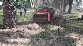 Usage of Mulcher in Oilpalm Garden