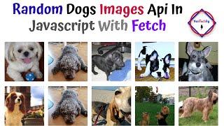 Javascript Random Dog Images API With Fetch() Method By NonTechBg | #javascript #api #ajax #html